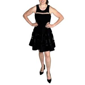 PARKER Black Mesh Inset Fit And Flare Mini Dress Women's‎ Size Large LBD Glam